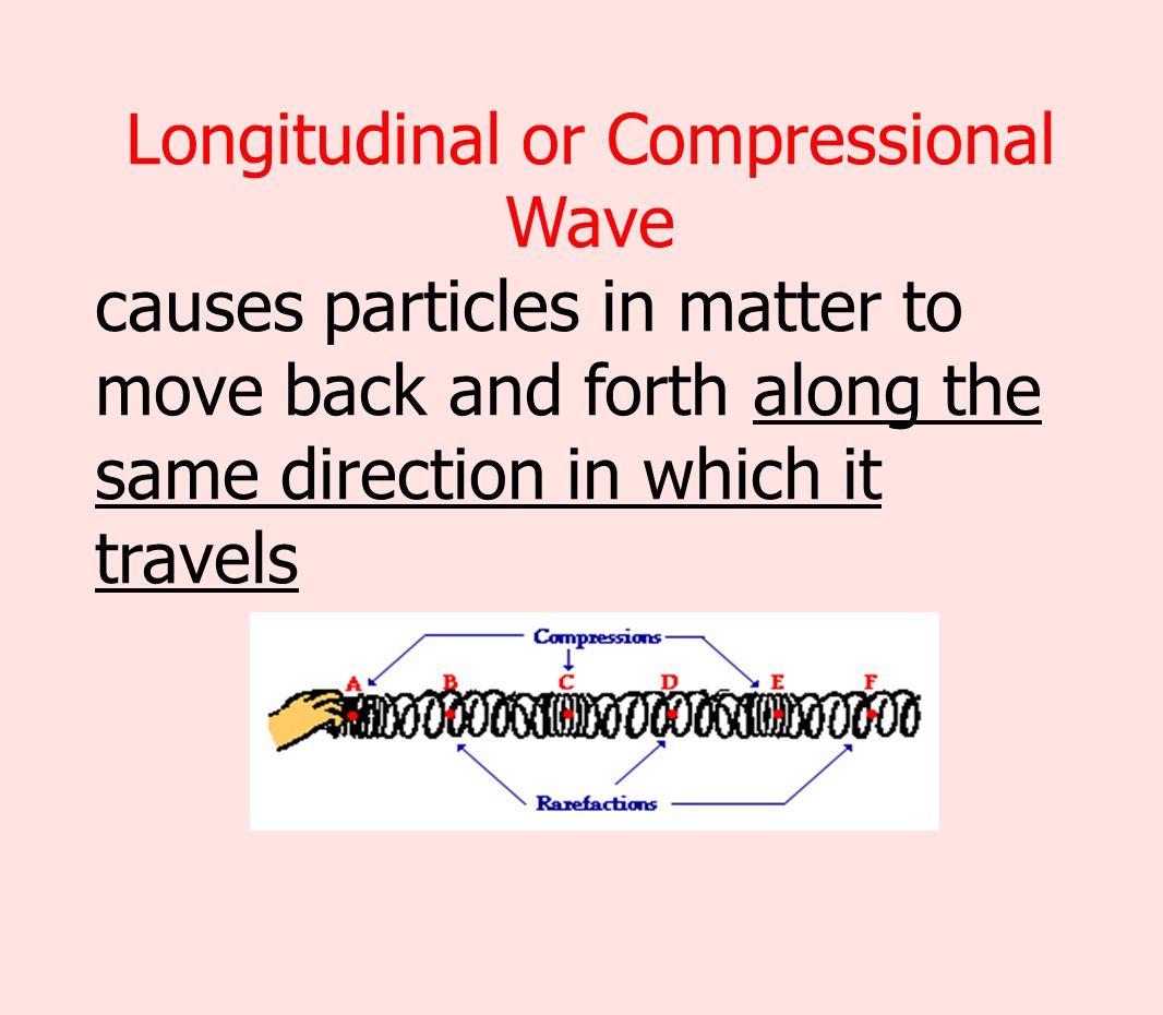 Longitudinal or Compressional Wave