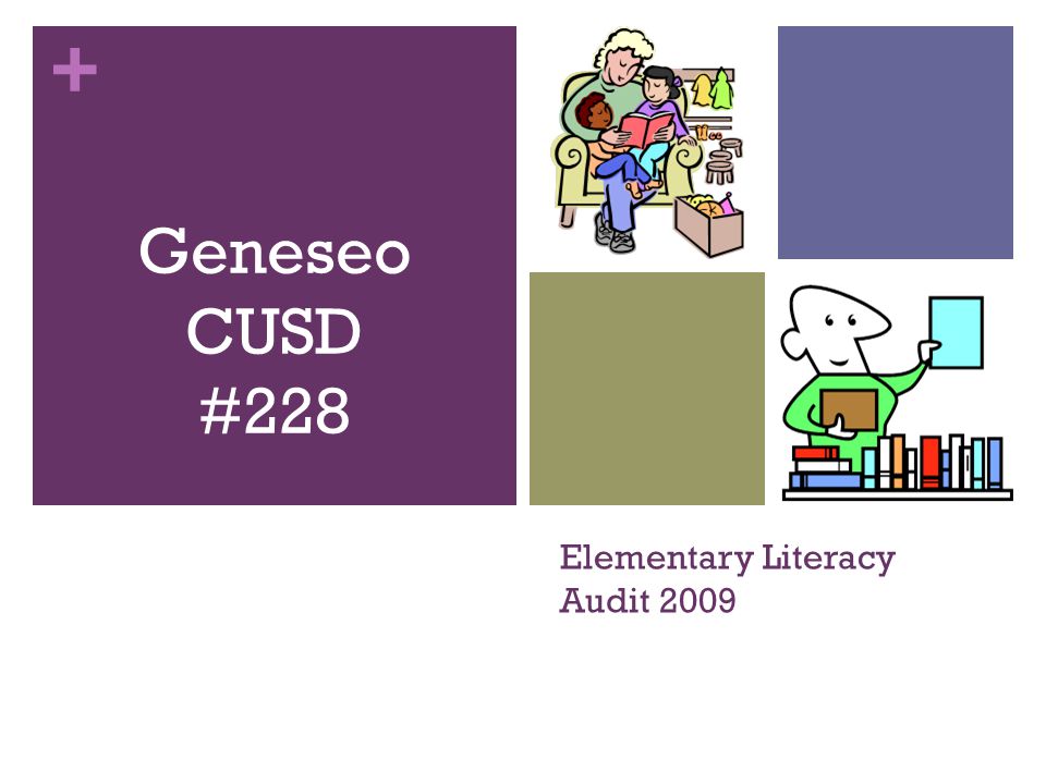 Elementary Literacy Audit 2009
