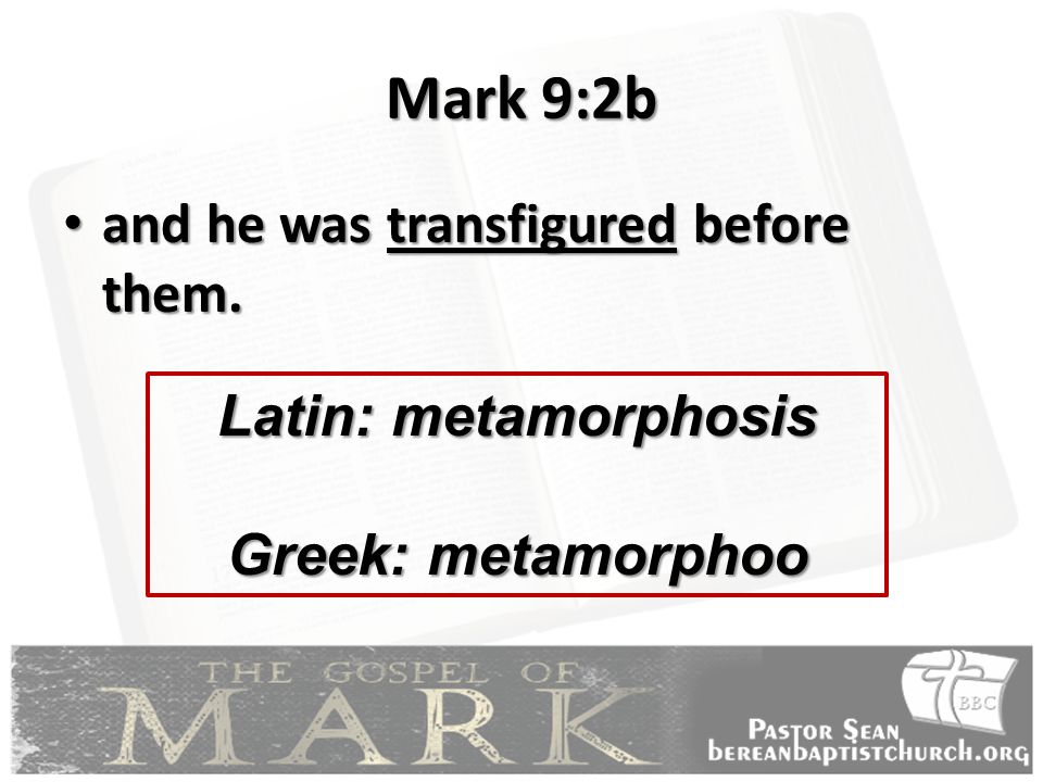 Mark 9:2b and he was transfigured before them. Latin: metamorphosis