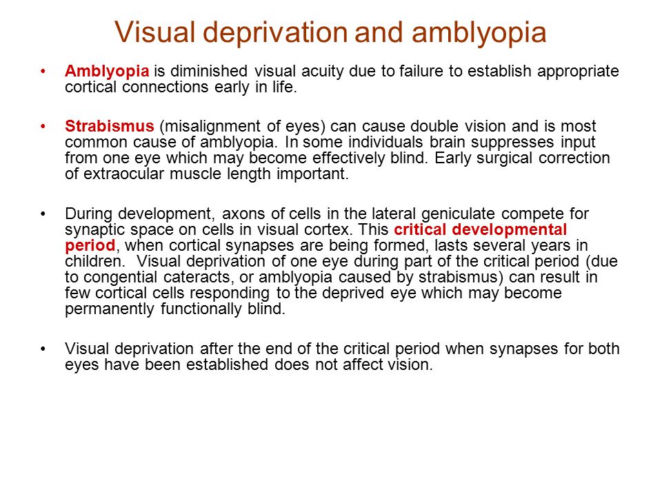 Visual deprivation and amblyopia