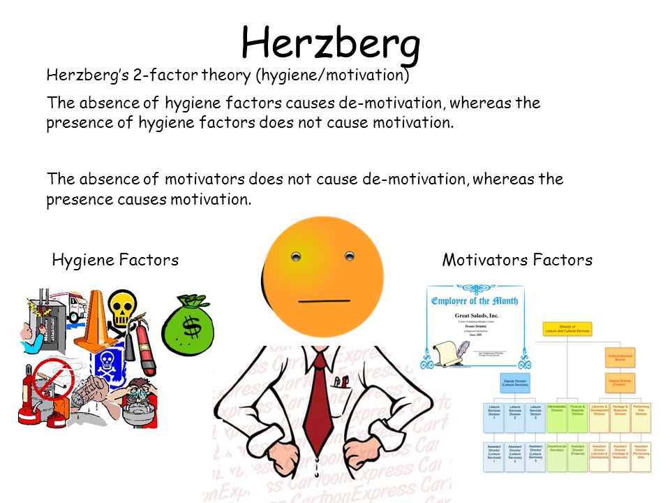 Herzberg Hygiene Factors Motivators Factors