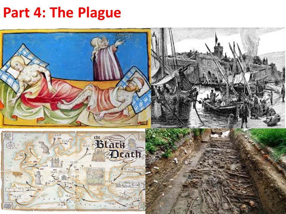 Part 4: The Plague
