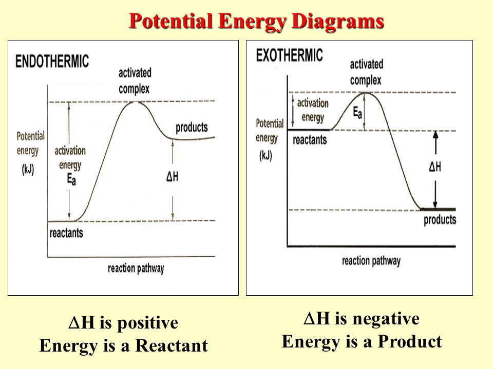 Le Chatelier S Principle Chart Worksheet Answer Key