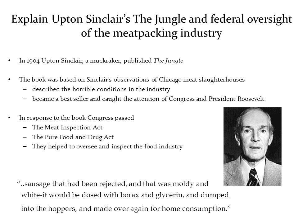 Explain Upton Sinclair’s The Jungle and federal oversight of the meatpacking industry