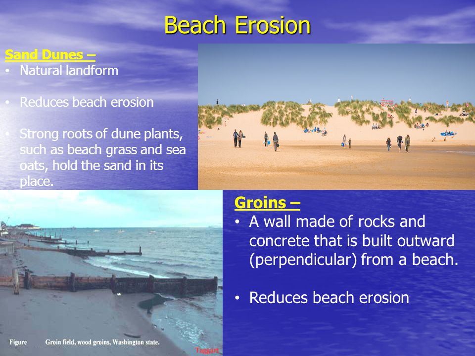 Beach Erosion Sand Dunes – Natural landform. Reduces beach erosion.