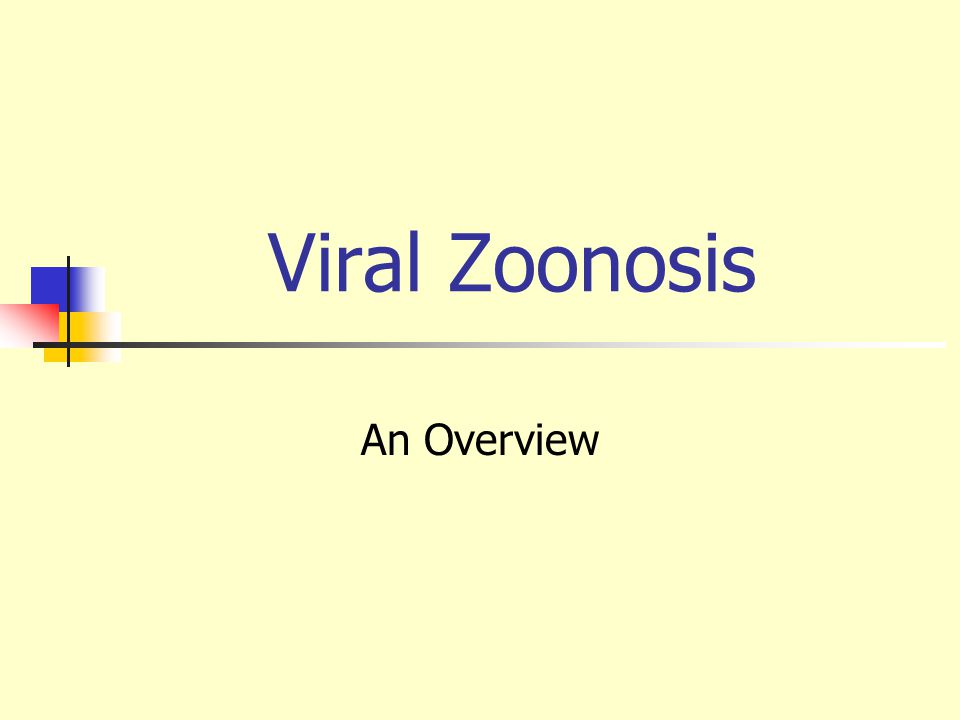 Image result for ZOONOTIC VIRUSES