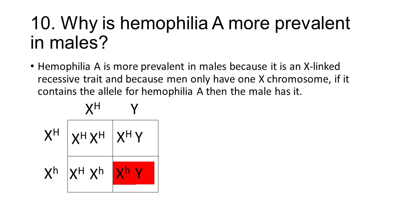 10. Why is hemophilia A more prevalent in males