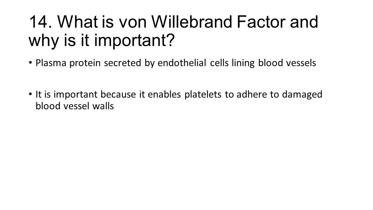 14. What is von Willebrand Factor and why is it important