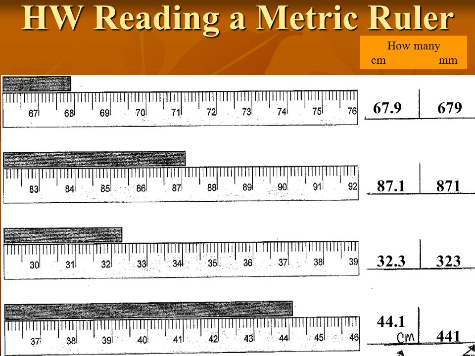 Ruler With Balance