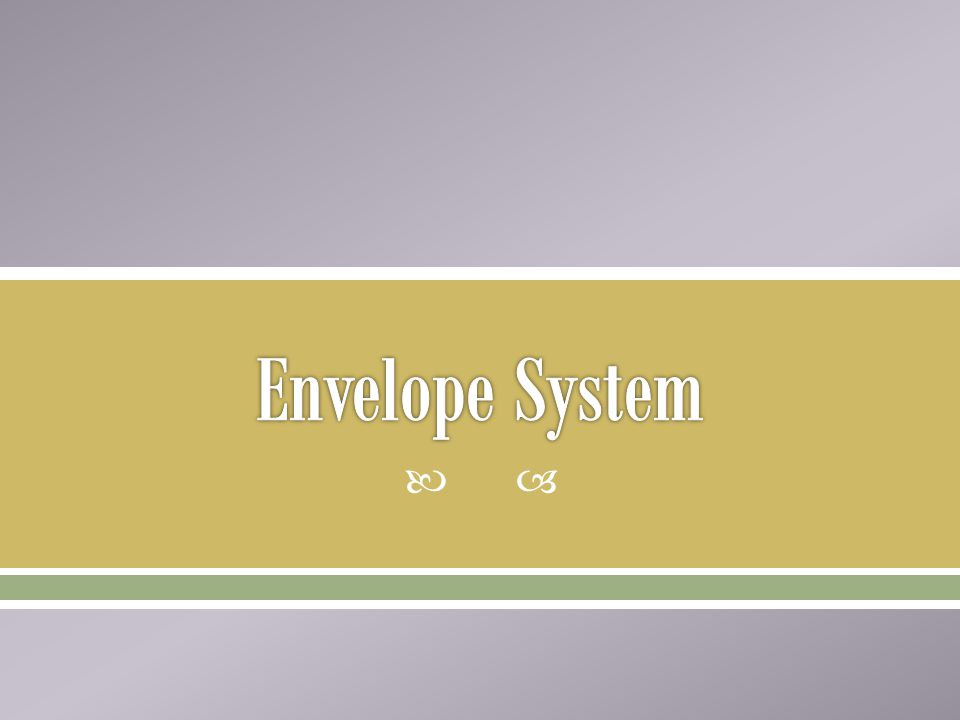 Envelope System