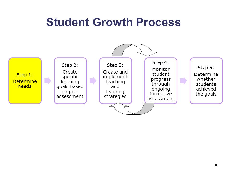 Student Growth Process