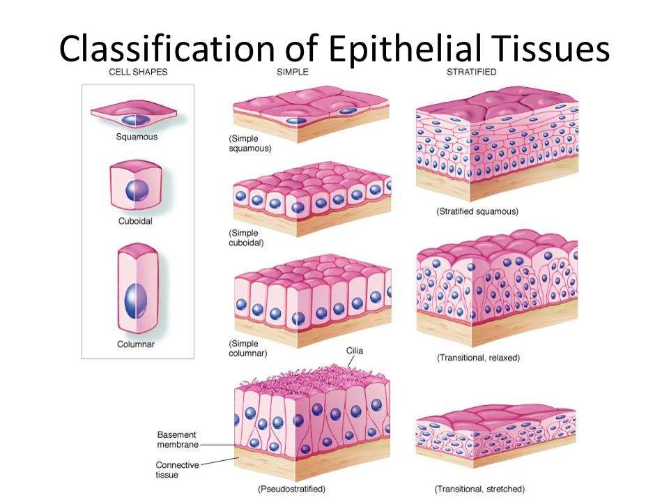 Epichlorohydrin limits in facial tissue + prop 65