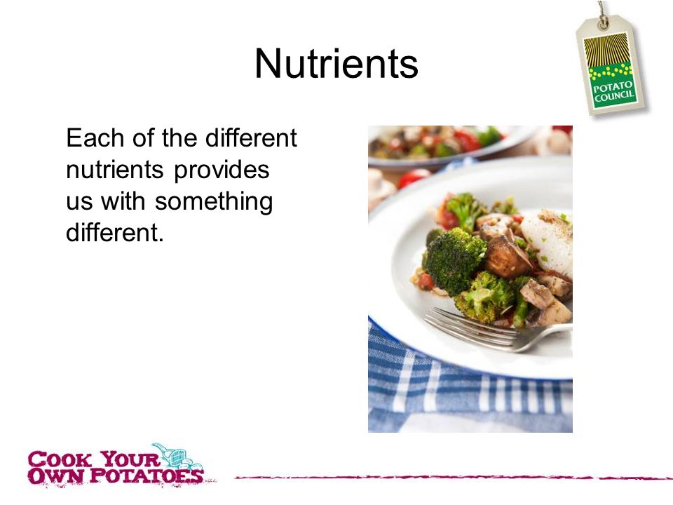 Nutrients Each of the different nutrients provides us with something different.