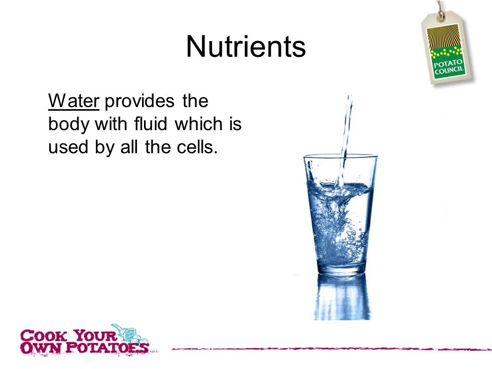 Nutrients Water provides the body with fluid which is used by all the cells.
