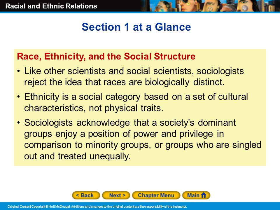 Section 1 at a Glance Race, Ethnicity, and the Social Structure