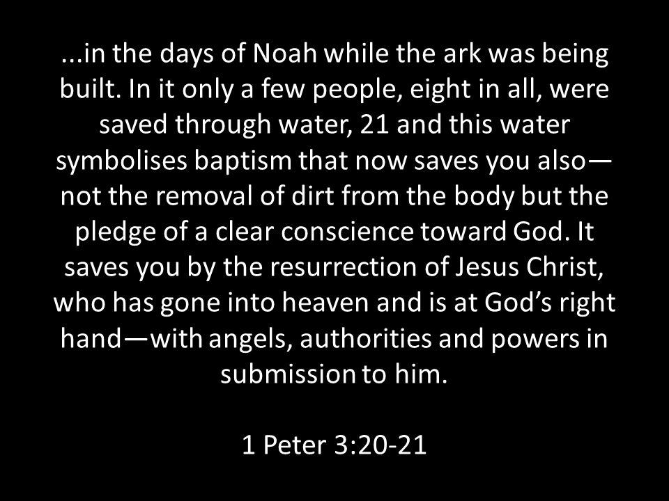 in the days of Noah while the ark was being built