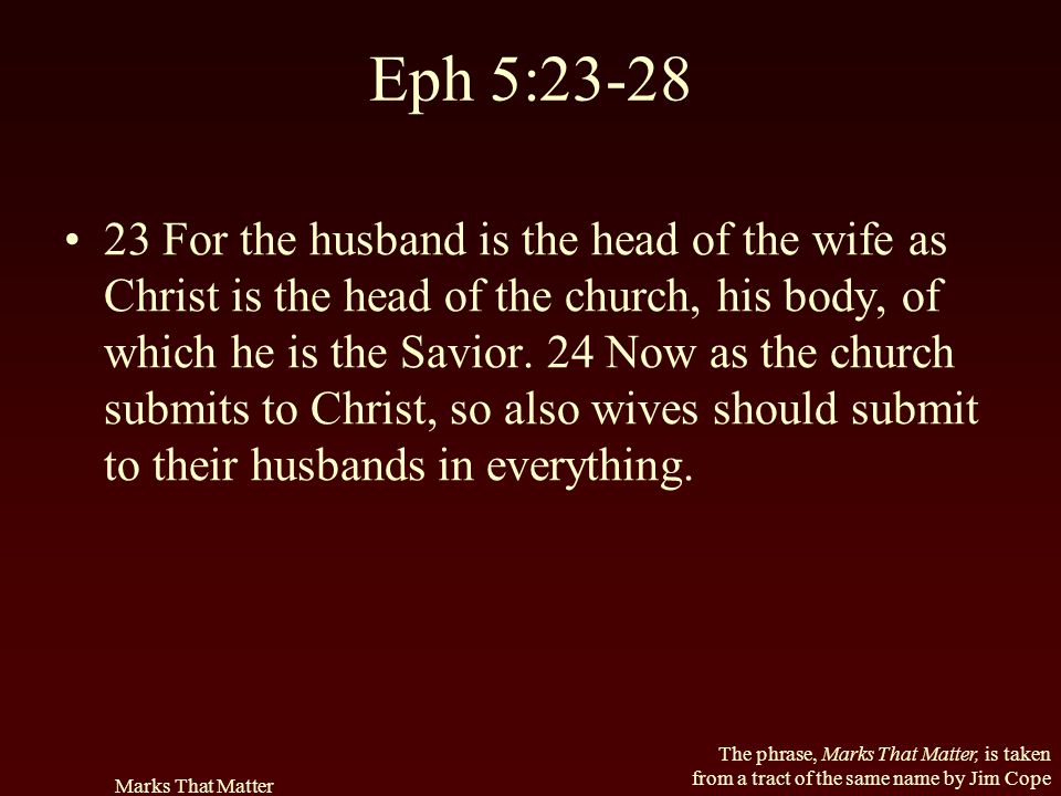 Eph 5:23-28