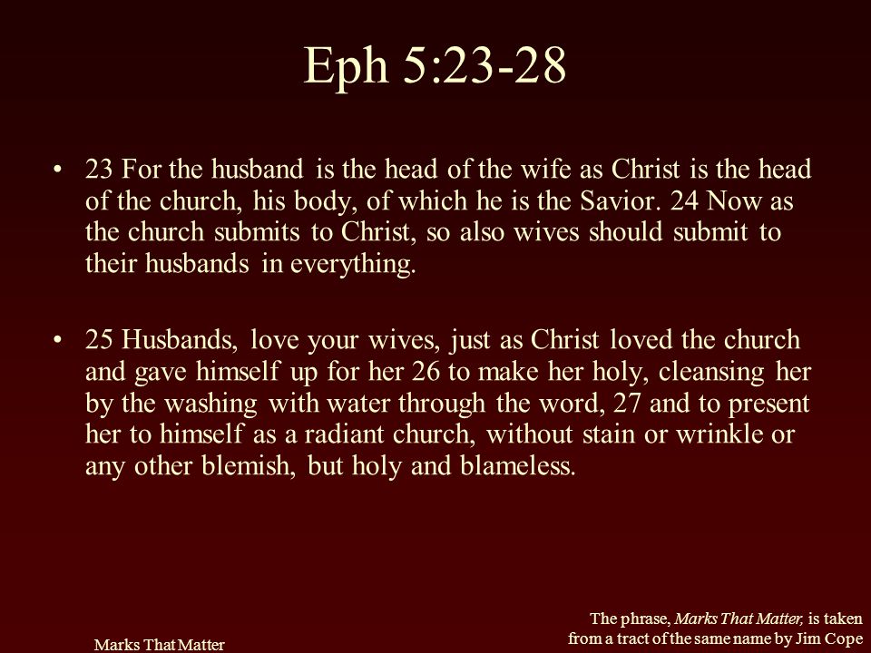 Eph 5:23-28