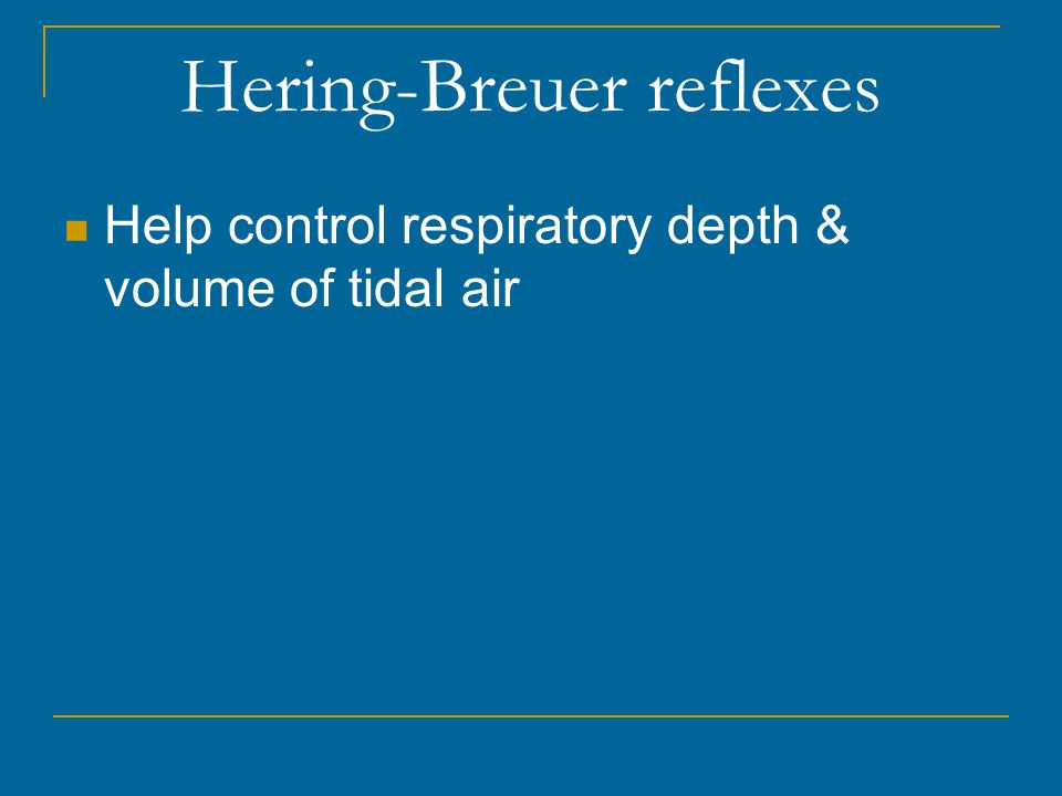 Hering-Breuer reflexes