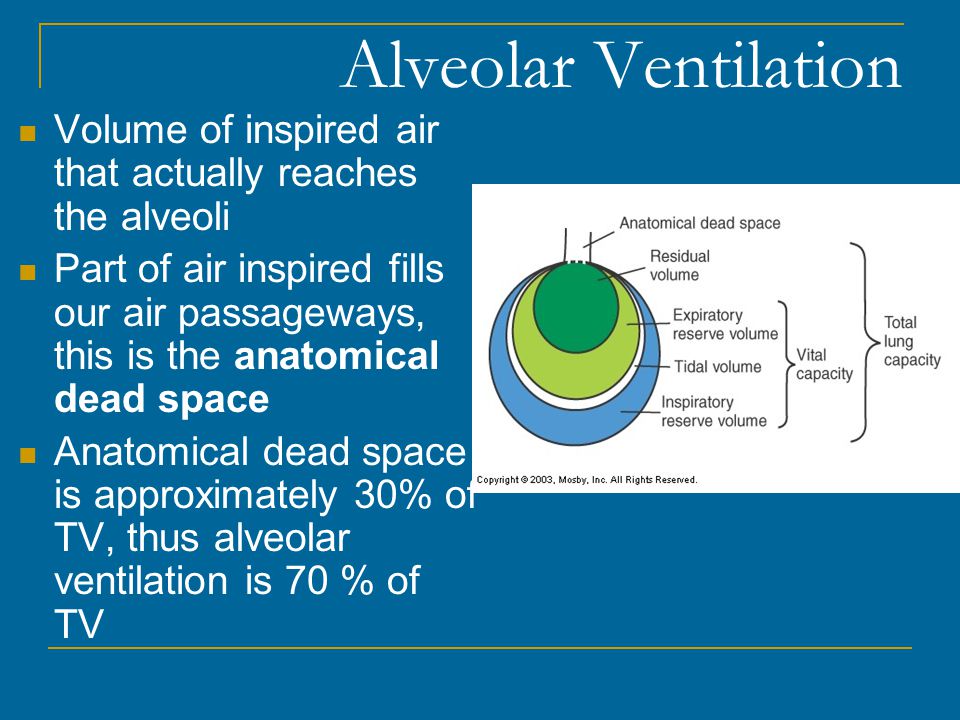 Alveolar Ventilation Volume of inspired air that actually reaches the alveoli.