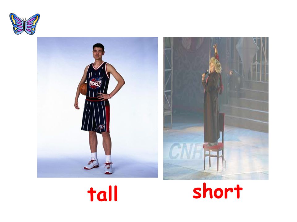 short tall