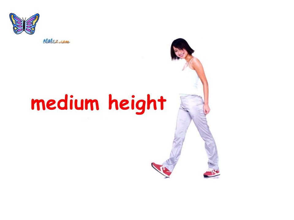 medium height