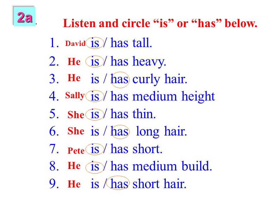 2a is / has tall. is / has heavy. is / has curly hair.