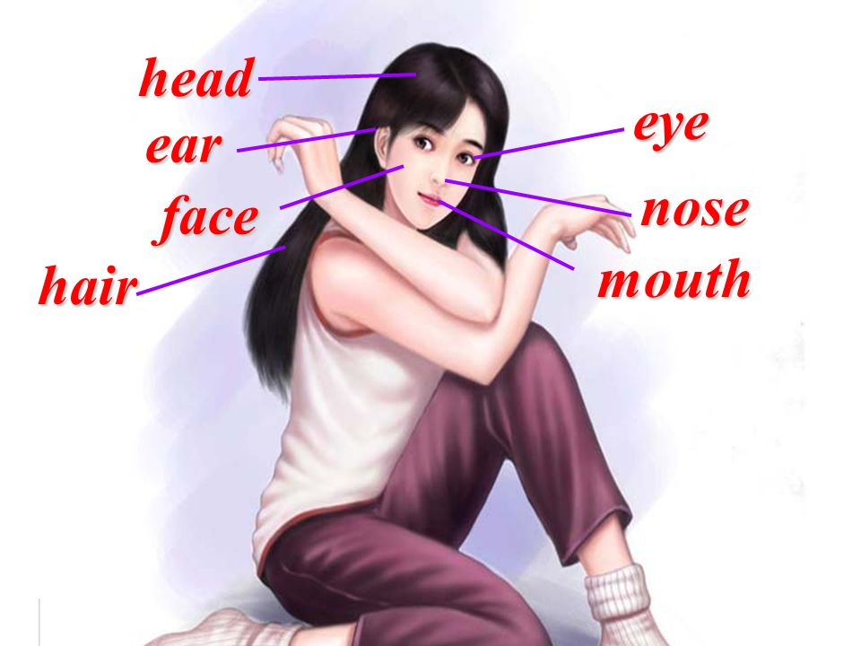 head eye ear nose face mouth hair