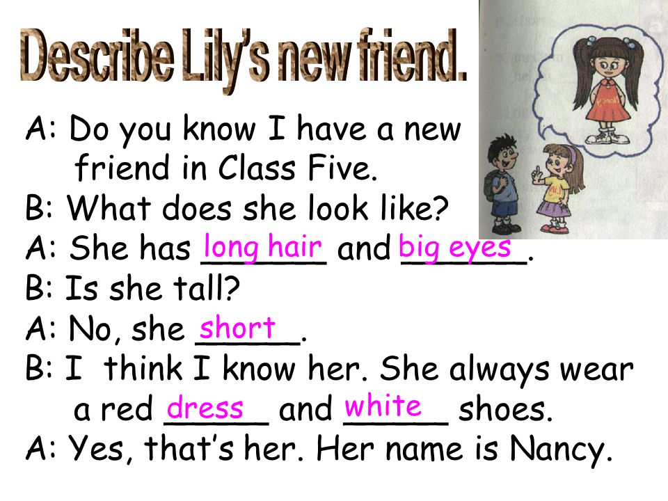 Describe Lily’s new friend.