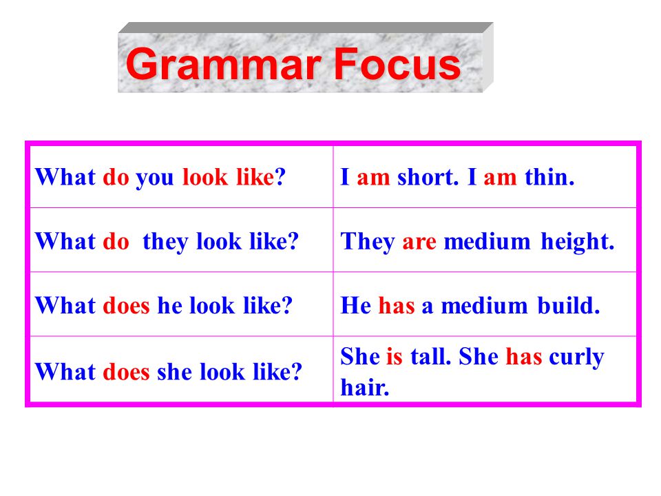Grammar Focus What do you look like I am short. I am thin.
