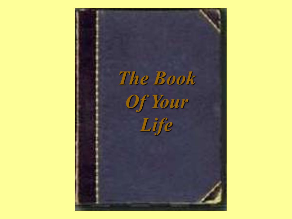 The Book Of Your Life