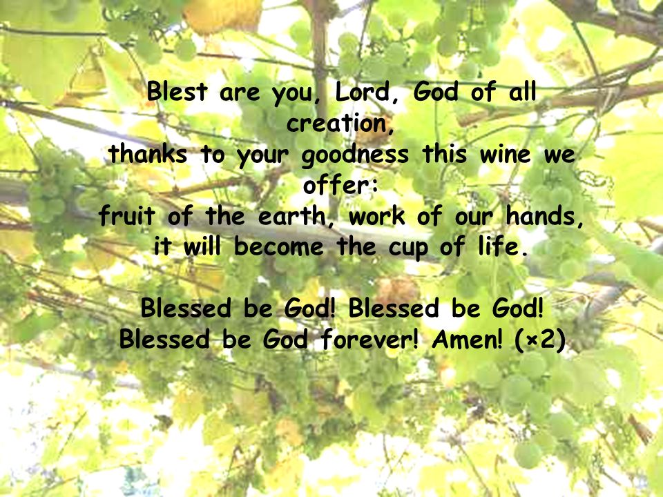 Blest are you, Lord, God of all creation,