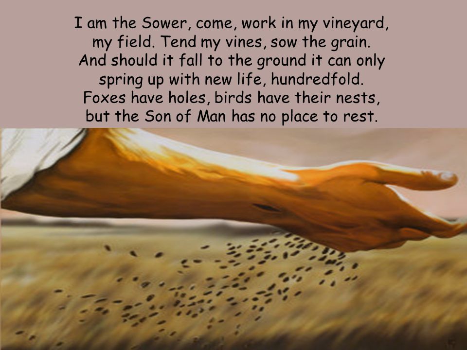I am the Sower, come, work in my vineyard,