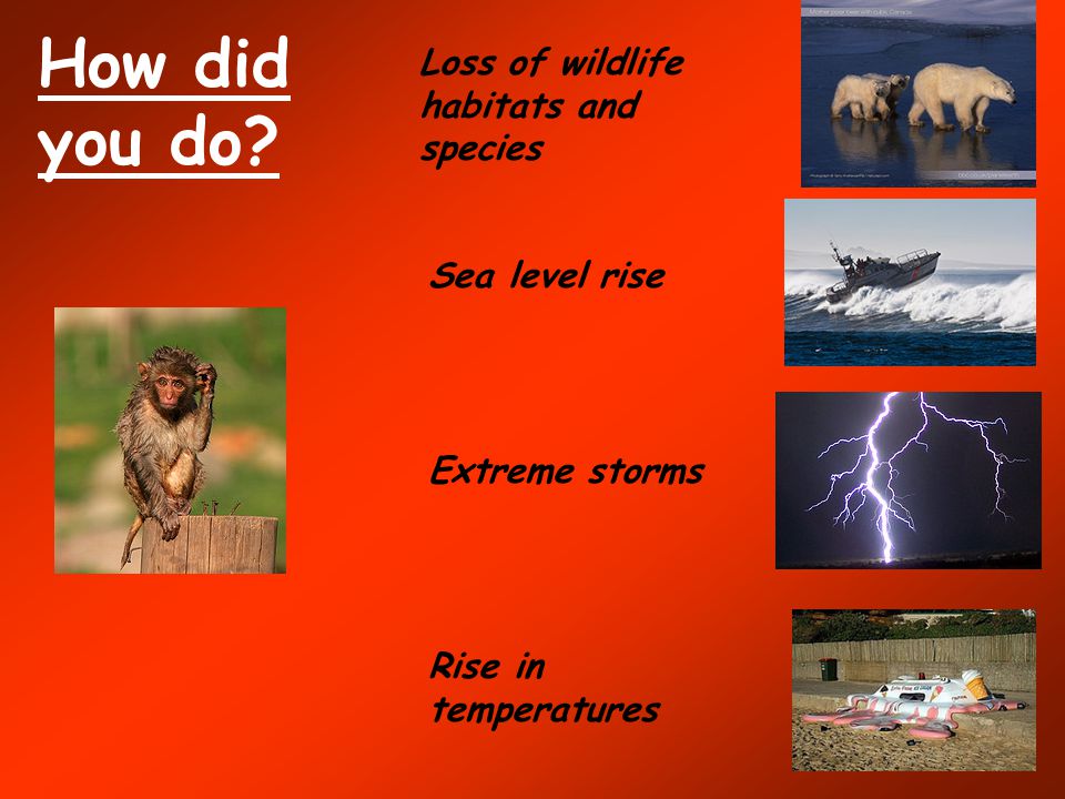 How did you do Loss of wildlife habitats and species Sea level rise