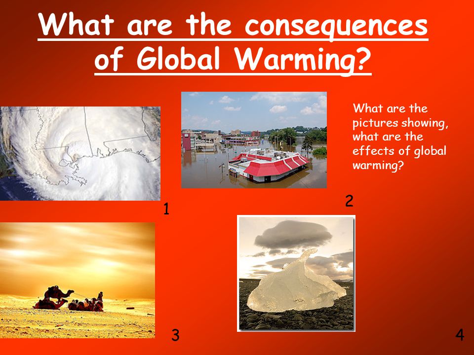What are the consequences of Global Warming