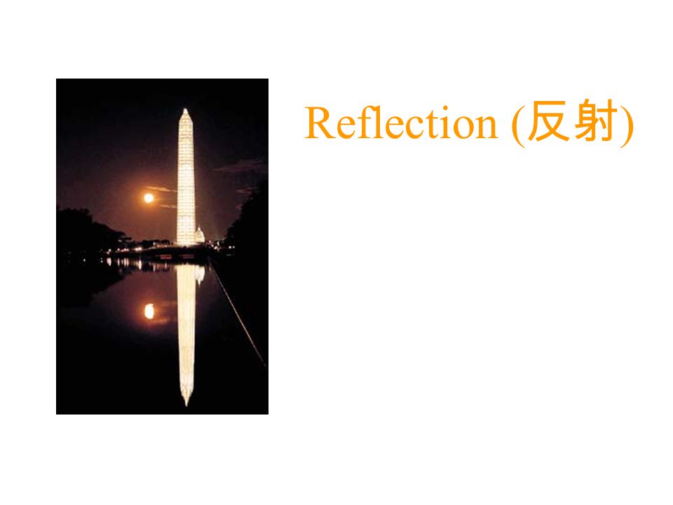 Reflection (反射)
