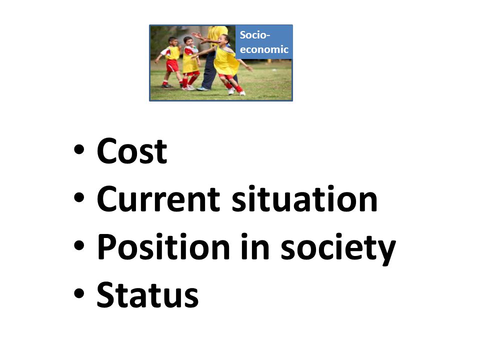Socio- economic Cost Current situation Position in society Status