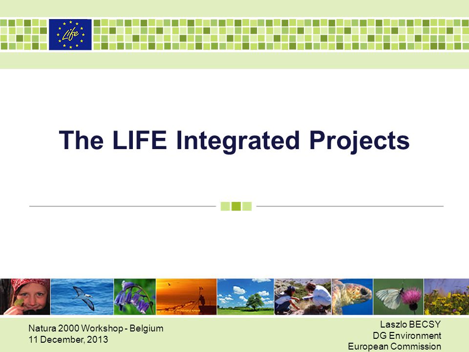The LIFE Integrated Projects