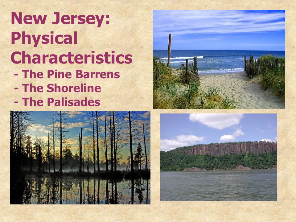 New Jersey: Physical Characteristics - The Pine Barrens - The Shoreline - The Palisades