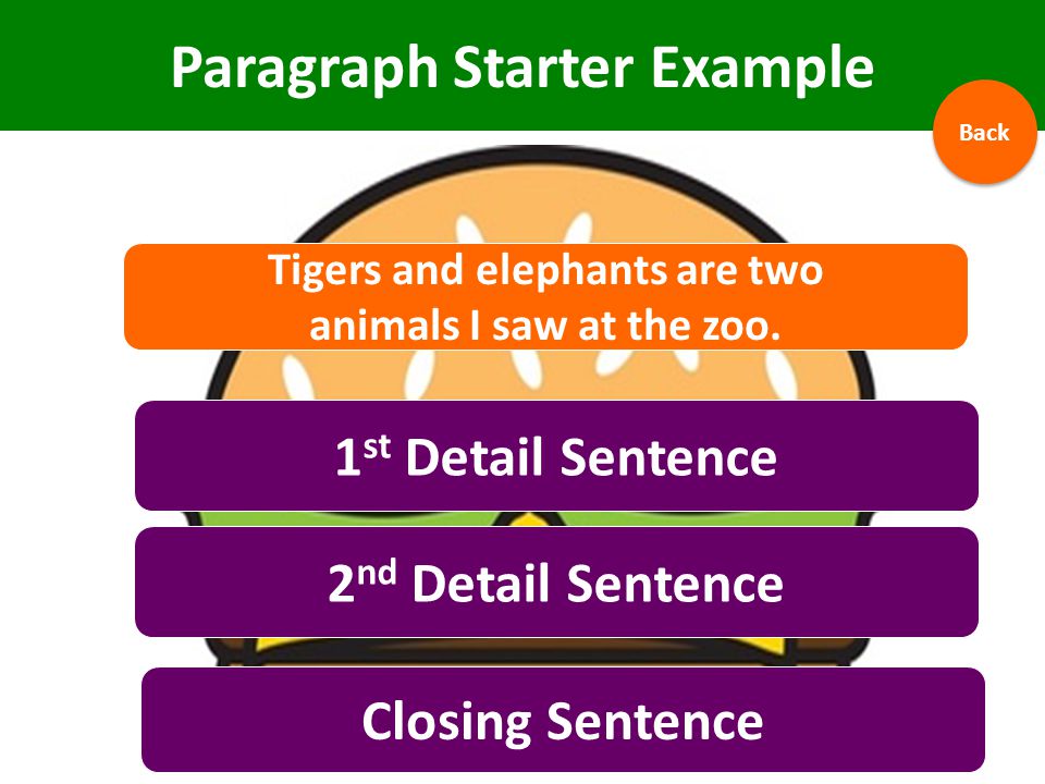 Paragraph Starter Example