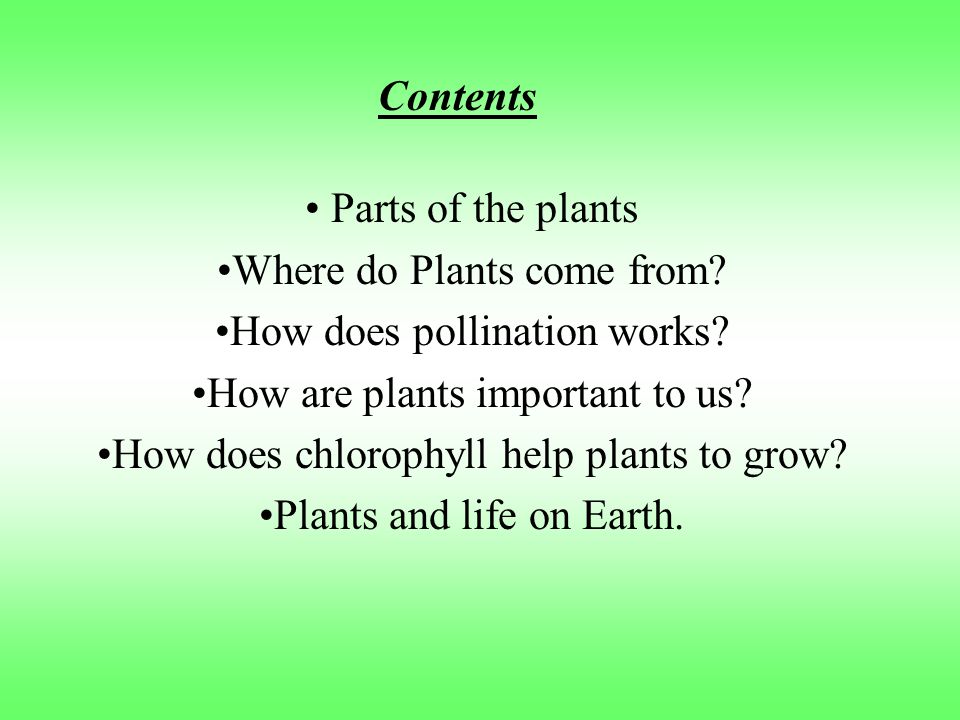 Where do Plants come from How does pollination works