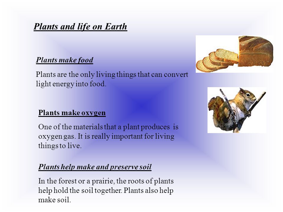 Plants and life on Earth