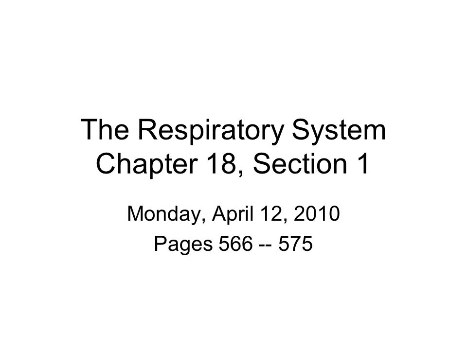 The Respiratory System Chapter 18, Section 1