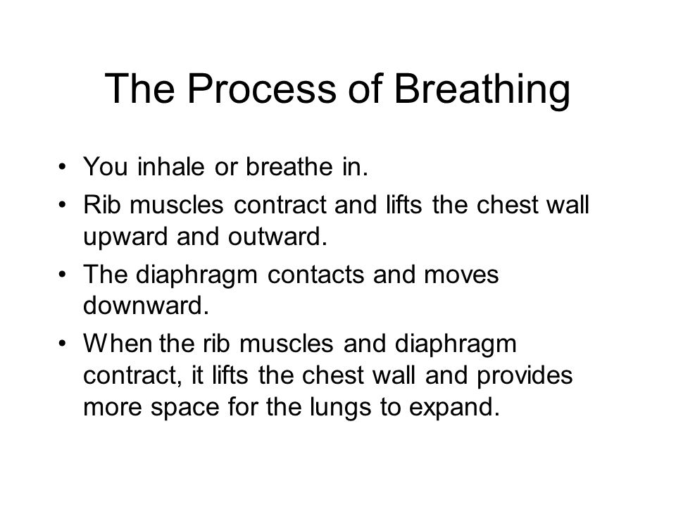 The Process of Breathing