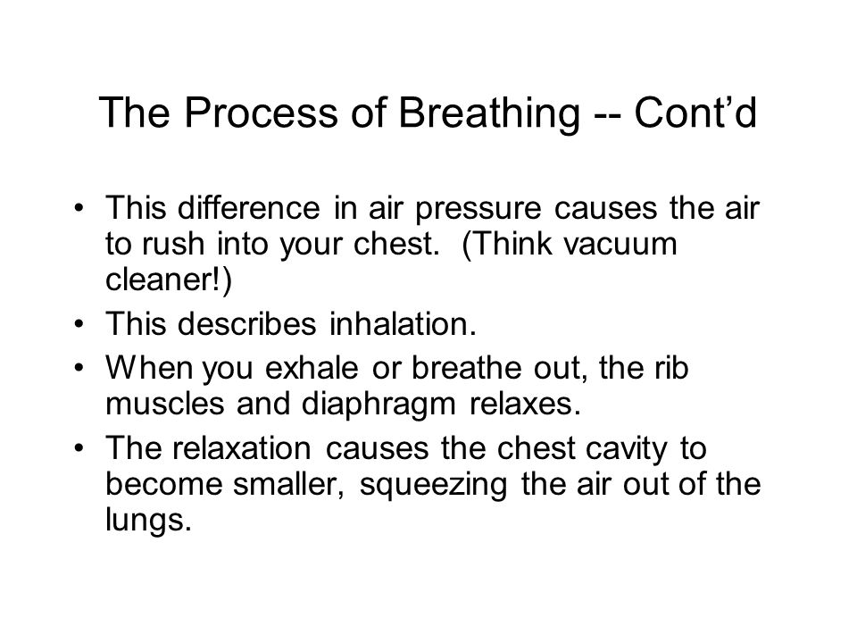 The Process of Breathing -- Cont’d