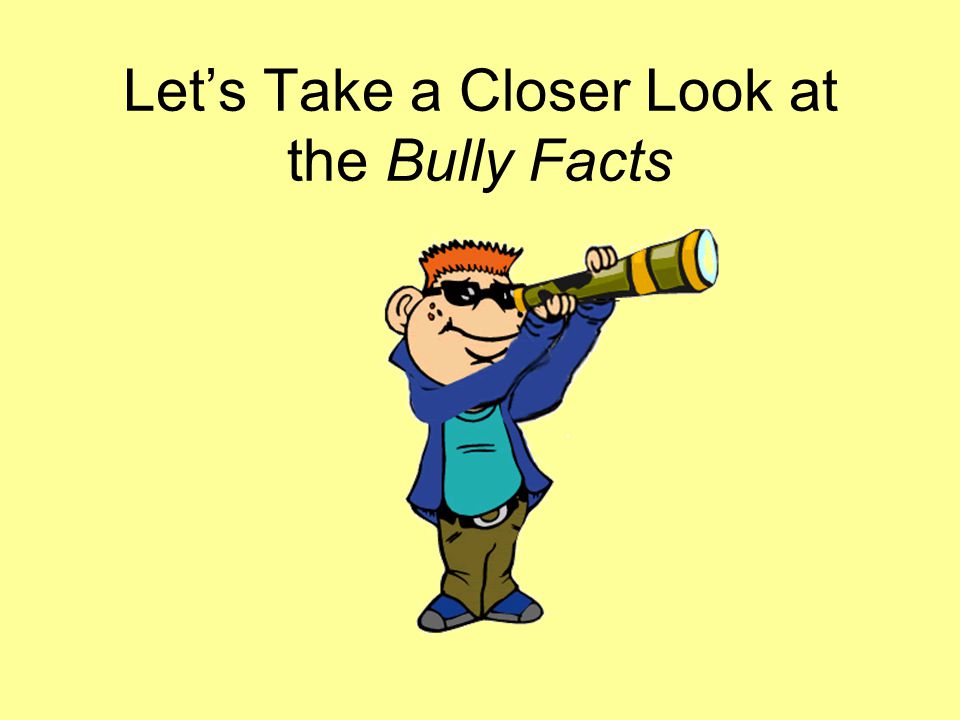 Let’s Take a Closer Look at the Bully Facts