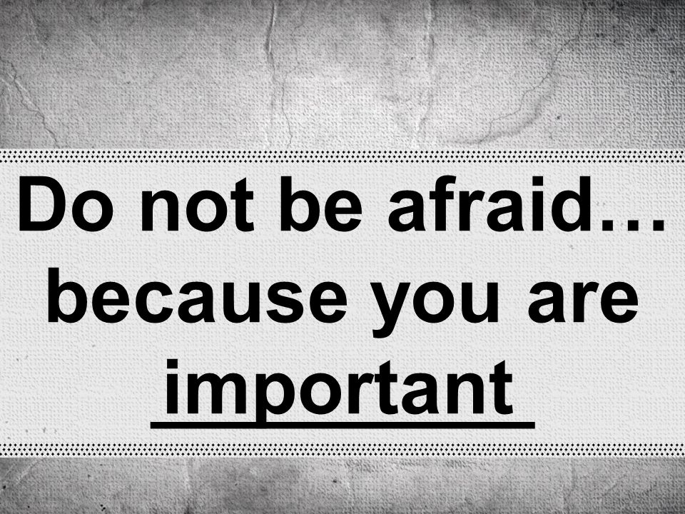 Do not be afraid… because you are _________ important