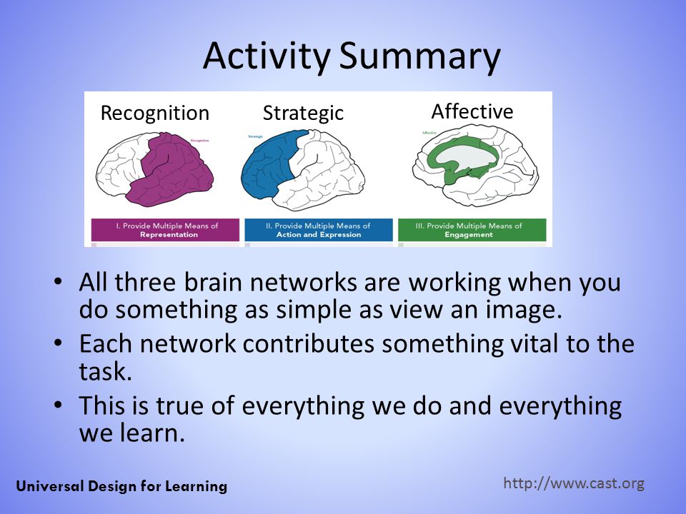 Activity Summary Recognition. Strategic. Affective. All three brain networks are working when you do something as simple as view an image.