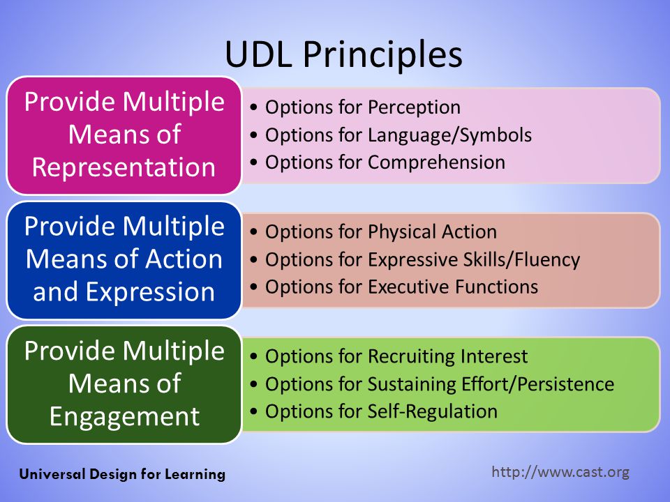 UDL Principles Provide Multiple Means of Representation