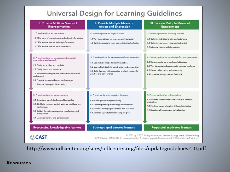 Another resource tool for educators is the learning guidelines template produced by CAST. The chart lists several examples of learning guidelines for each of the three learning principles.